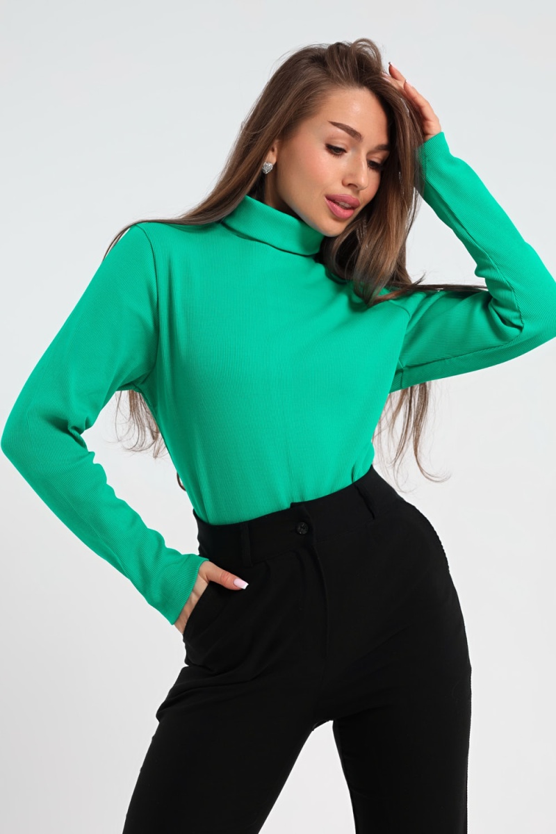 Водолазка М-603